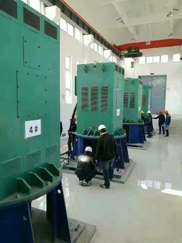 志丹某污水处理厂使用我厂的立式高压电机安装现场